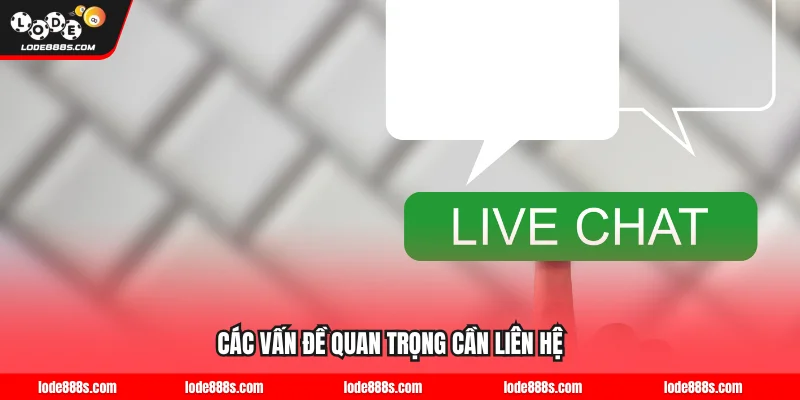 Các vấn đề quan trọng cần liên hệ